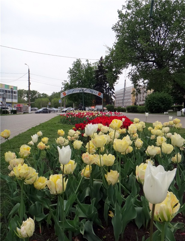Милый мой город. Прогулка по Твери, продолжение