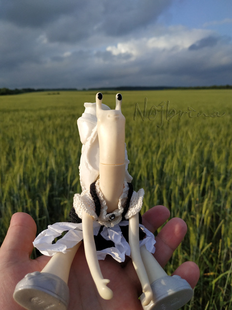 Wonderfrog. Красота в простоте