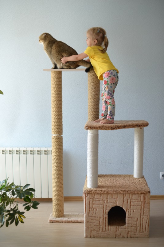 Предновогодняя мимимишная публикация. О любви. О нежности. О девочках. О котиках (фото 4)