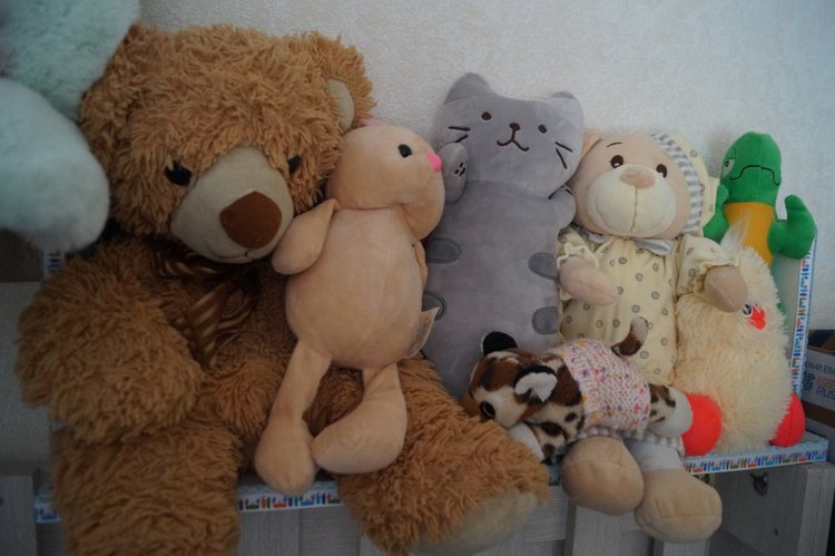 У Агаши много новеньких! Жители надкроватных полочек