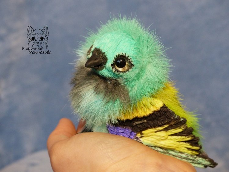 Зеленоголовая танагра, чудо птичка (фото 5)