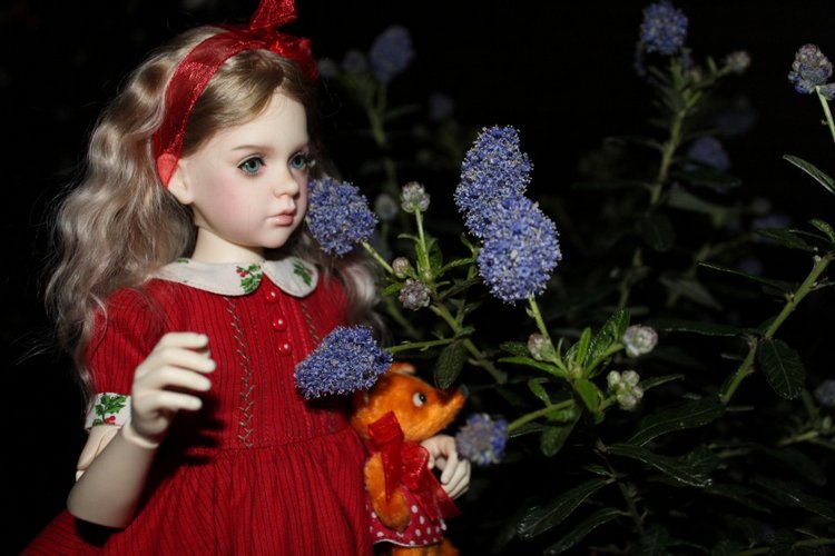 Розочка в вечернем саду — Куклы Dollshe Craft (Доллше): BJD (БЖД)