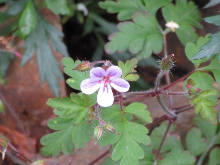 Джилы-Су в тумане — Туризм и путешествия: фотоотчеты из поездок