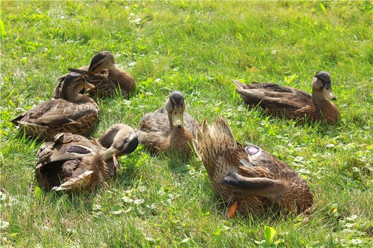 Сентябрьское путешествие в Старицу. Старицкий Свято-Успенский Монастырь