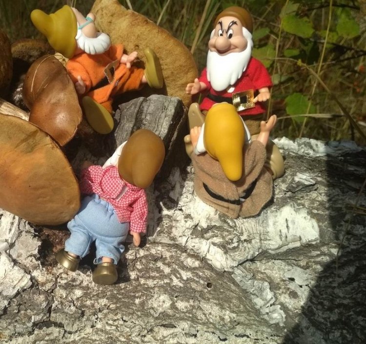 Осеннею порой под старою сосной... Принц, Белоснежка и гномы... встречаются