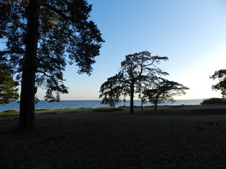 Немного позитива с Финского залива