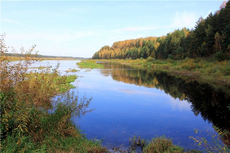 Путешествие Имани на Волгу, продолжение. Mini Imani от Kaye Wiggs (фото 2)