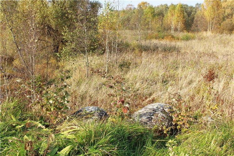 Путешествие Dal Hangry в Грузины, продолжение