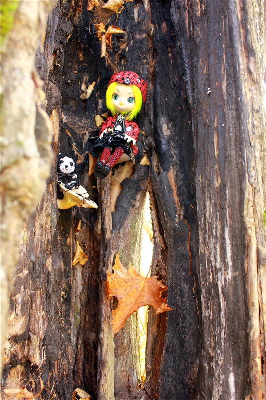 Путешествие Dal Hangry в Грузины, продолжение