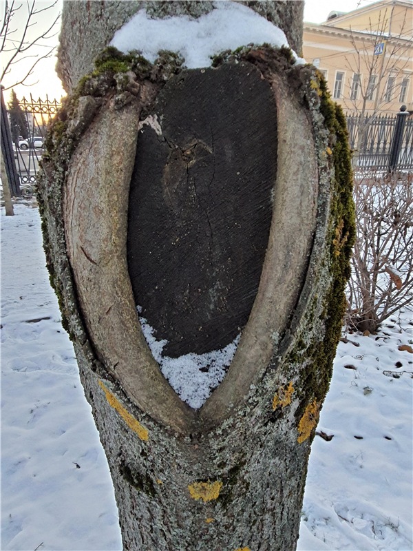 Декабрьская Тверь — Туризм и путешествия: фотоотчеты из поездок