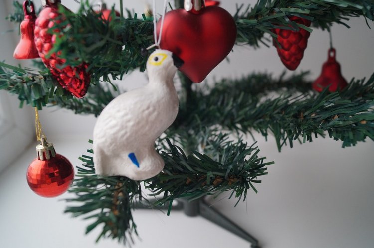 Кукольная лечебница. Выписка третья