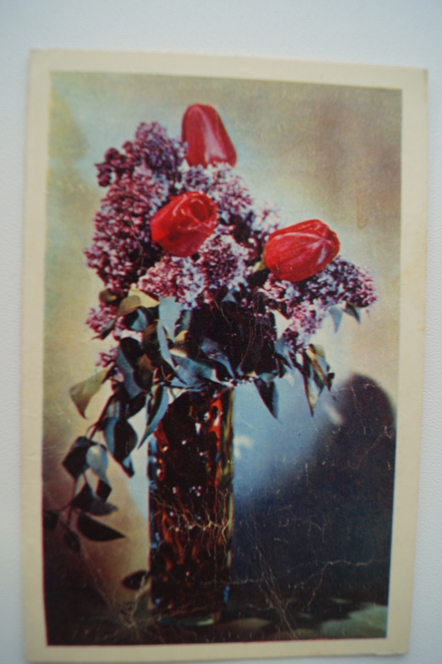 Советские открытки на каждый праздник. Годовой цикл. 23 февраля (фото 7)