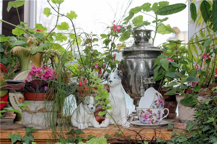 Тверской Ботанический Сад, продолжение | Бэйбики Тверской Ботанический Сад, продолжение