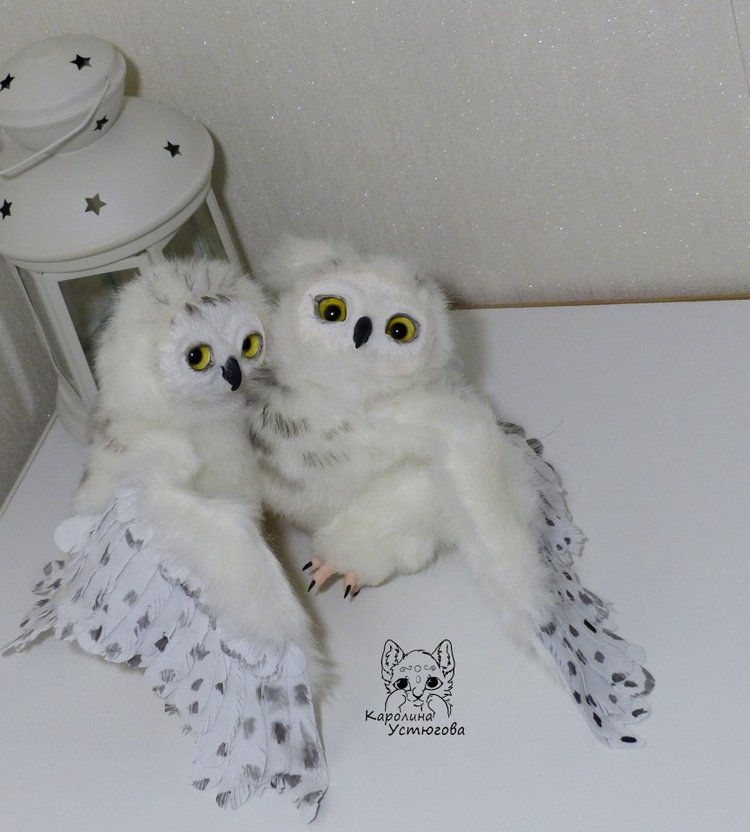 Полярные совы. Стремящиеся в полет (фото 6)