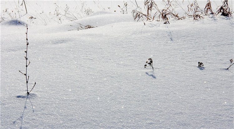 Зимняя прогулка Сони. Уникальная кукла от Сильвии Наттерер