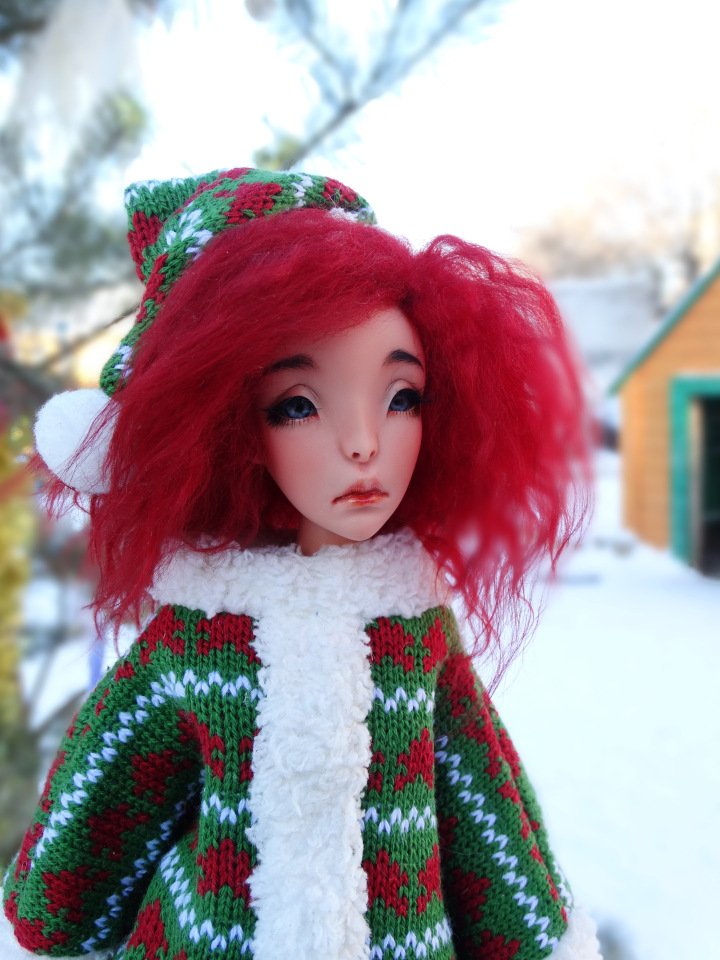 Зимне-новогодние фото Коти (фото 7)