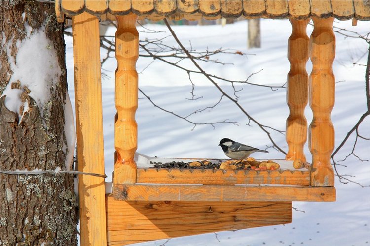 Снежный Март — Туризм и путешествия: фотоотчеты из поездок