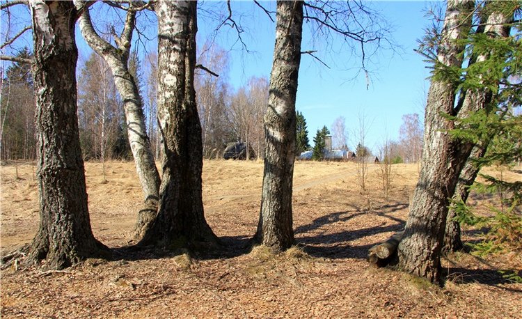 Апрельский день в Василёво, заключительная часть (фото 5)