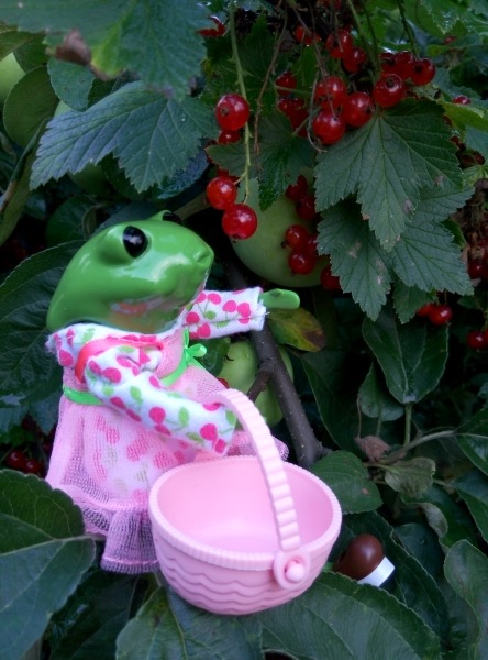 Добро пожаловать в удивительный мир Ванды