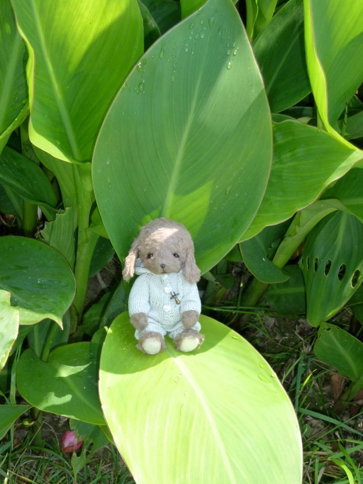 Краснодарский Край, Сочи-Адлер, Санаторий «Южное Взморье»