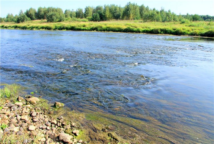 Инопланетянка Нийя. Custom Blythe Doll UFO Go Go Takara