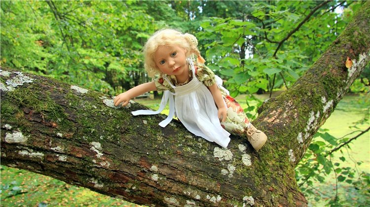 Августовская прогулка в Берново. Zwergnase Mischa