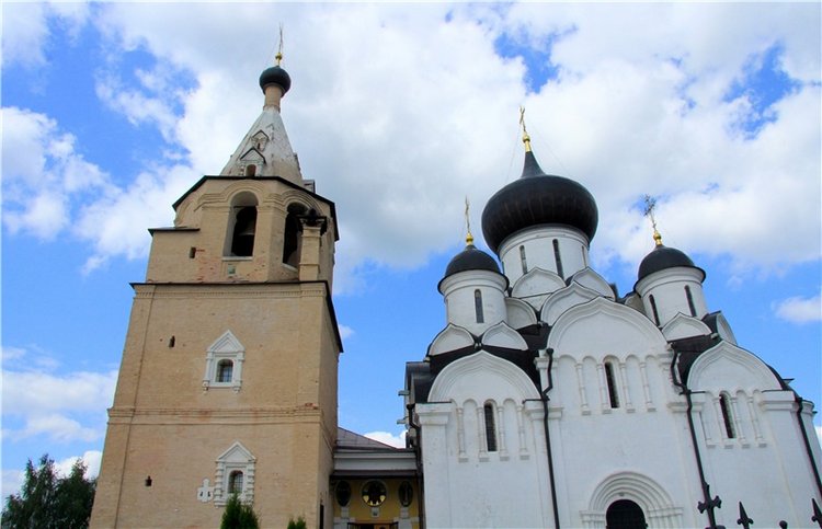 Августовская прогулка в Берново. Zwergnase Mischa