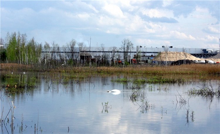 "Лебединое озеро" в Твери