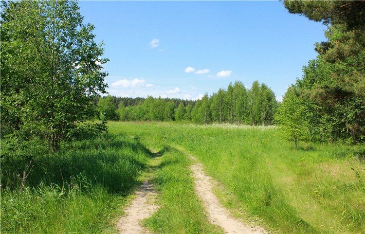 Малиновый Июнь, продолжение. BJD Gigi от Meadow Dolls