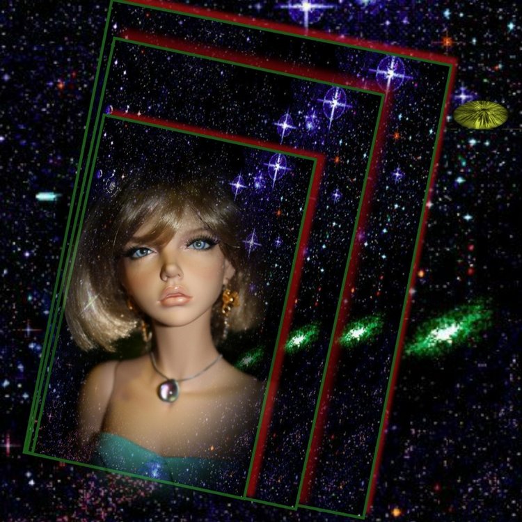 А вы любите смотреть на звезды? Вечерняя прогулка с Бианкой