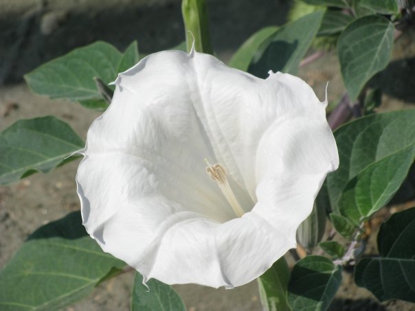 Путешествие на о. Кипр — Туризм и путешествия: фотоотчеты из поездок