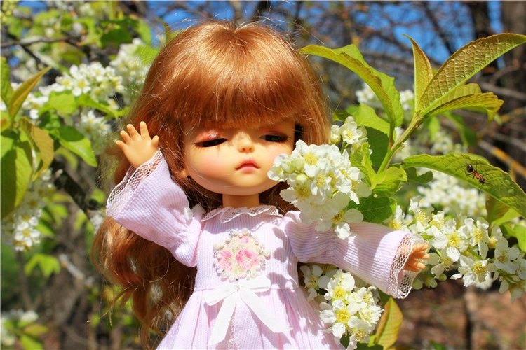 Путешествие Софи в Старицу, продолжение. Lati HoneyBee New Mystic Sophie (фото 9)