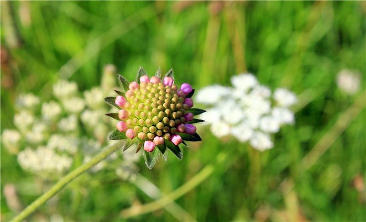 Путешествие Эли на красивый берег реки Волги