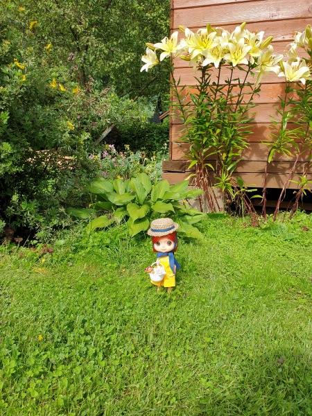 Раз камарик, два камарик — Игровые куклы разных производителей (Разное): редкие бренды