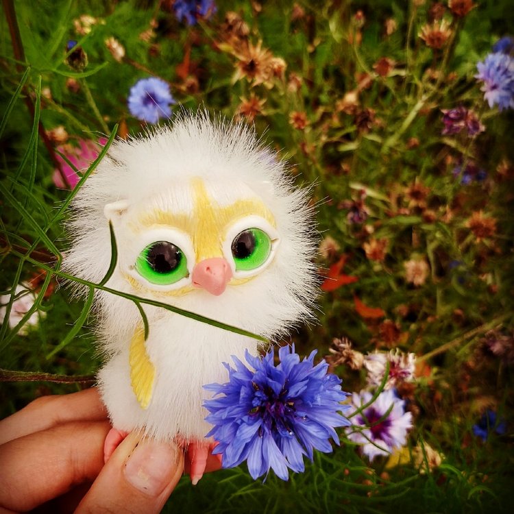 Последние денечки лета.... Совенок Желточек, дача и другие дачные жители (фото 4)