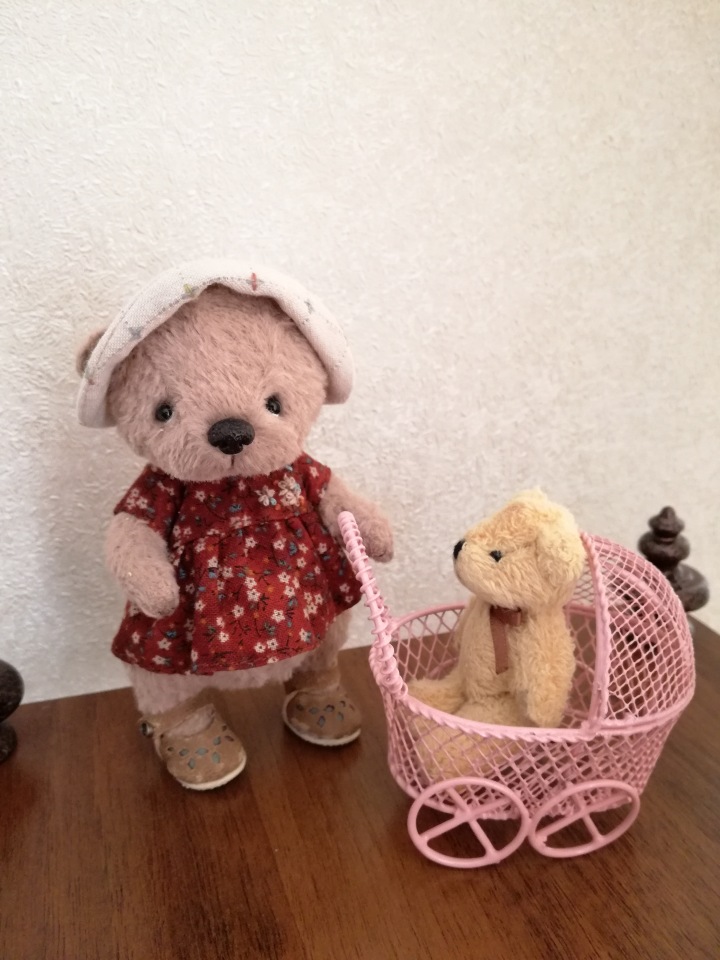 Знакомьтесь, новый вид медведей - медведь сумочный (фото 3)