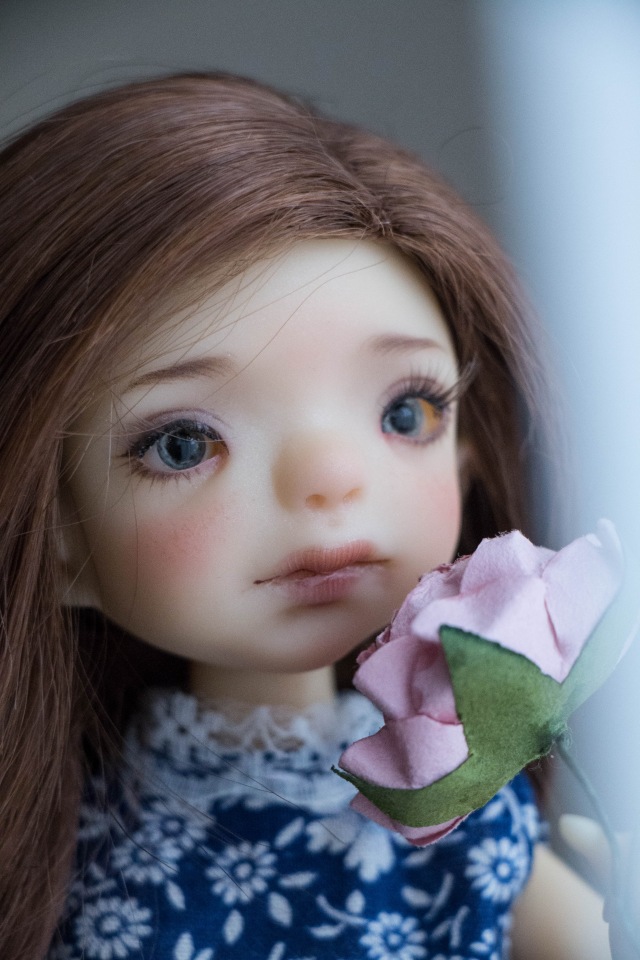 F&B doll studio — Куклы F&B Doll Studio: российские BJD (БЖД)