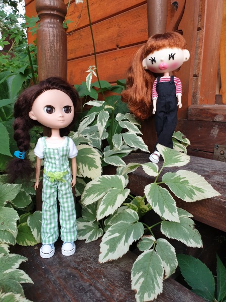 Куклы Ecpty | Бэйбики Куклы Ecpty — Коллекционные куклы разных авторов (Разное): редкие бренды