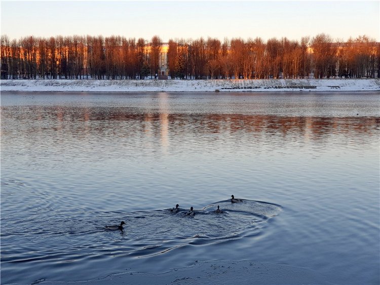Декабрьская Тверь — Туризм и путешествия: фотоотчеты из поездок