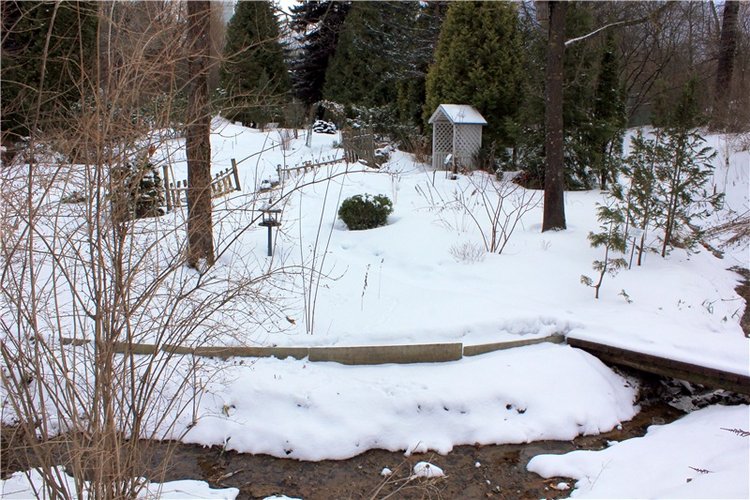 Тверской Ботанический Сад, заключительная часть