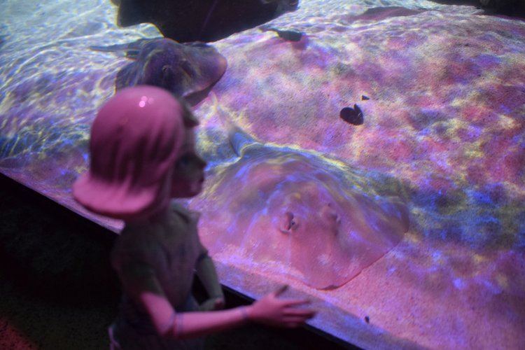 Моё сердечко — Разные шарнирные куклы (не БЖД): редкие (фото 4)