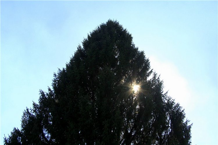 Апрельский день в Василёво, третья часть