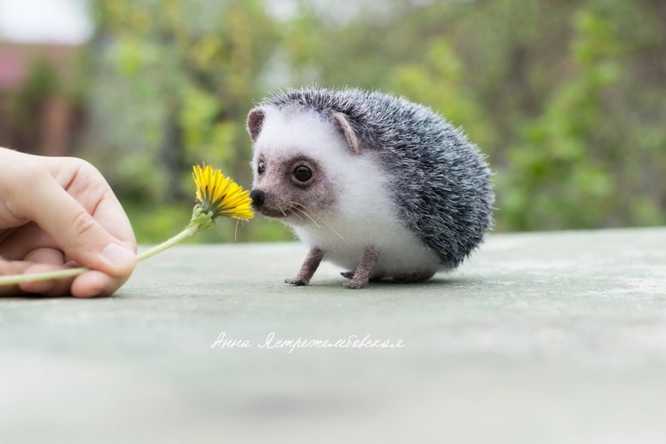 Ёжинька — Валяные игрушки из шерсти: сухое валяние