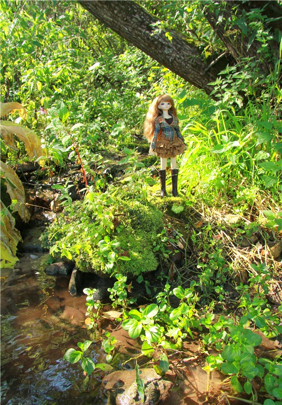 Старицкая Швейцария. Путешествие Мии. Minifee Miyu FairlyLand | Бэйбики Старицкая Швейцария. Путешествие Мии. Minifee Miyu FairlyLand