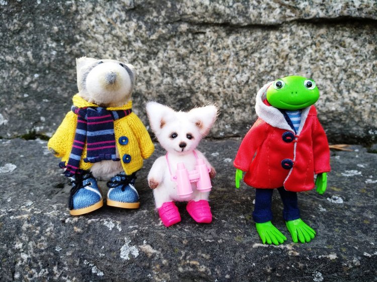 Тайна моего имени. Часть третья. Обидно, когда тебе никто не верит (фото 5)