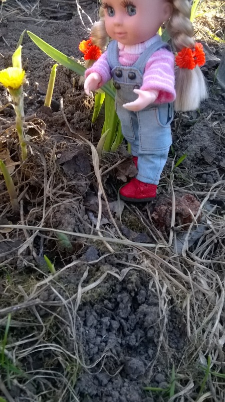 Галинка с Полинкой во саду ли в огороде (фото 4)