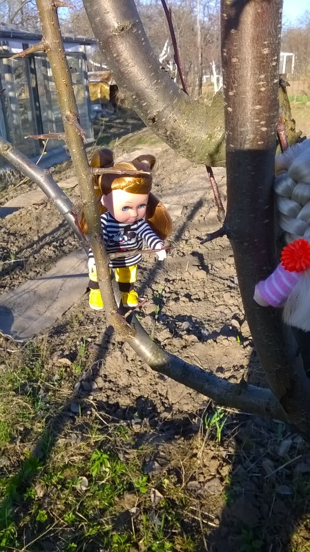 Галинка с Полинкой во саду ли в огороде (фото 10)