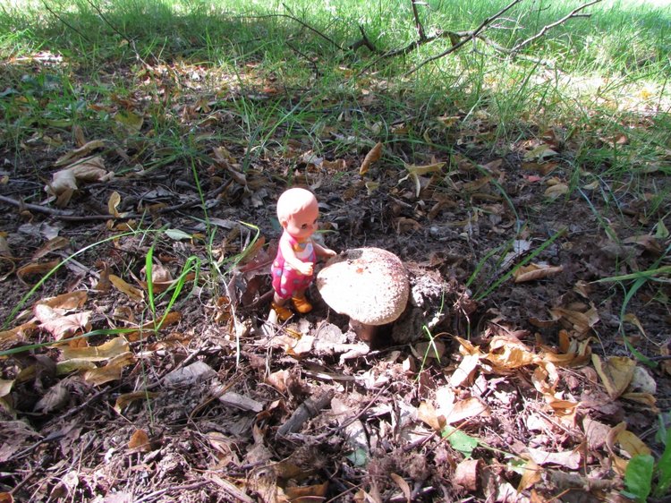 Малышня на прогулке в Бирюлёвском дендропарке