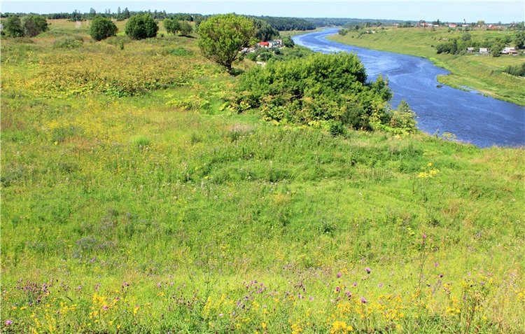 Подарок для Бенни | Бэйбики Подарок для Бенни — Куклы Iplehouse (Иплхаус): BJD (БЖД)