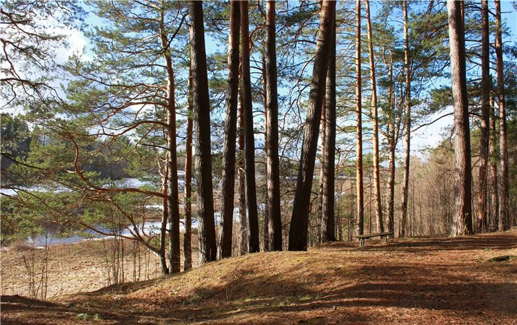 Тверской "Луксор" — Куклы Meadow dolls (Медовушки): BJD (БЖД)